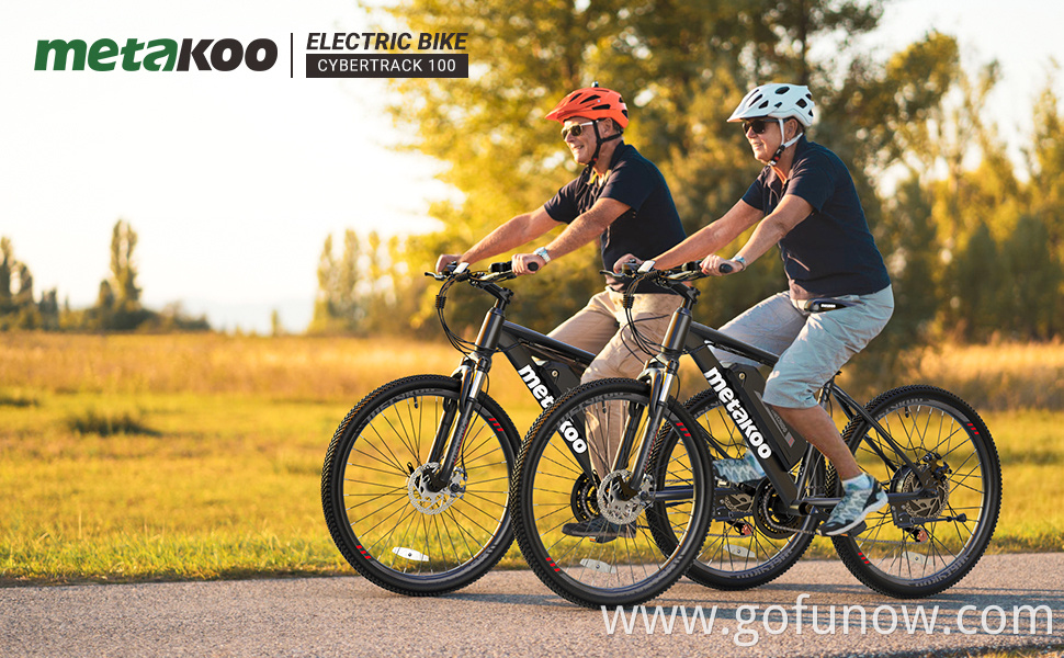 21 speed electric mountain bike / Aluminum frame 350w 36V 10ah electric bicycle,26